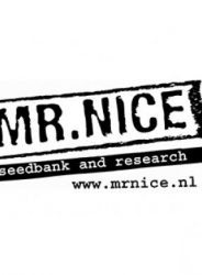  Mr. Nice Seeds NL5 x Haze 18ks  