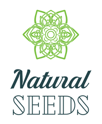  Natural Seeds  Big Bud Auto