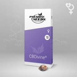 Paradise Seeds CBDivine