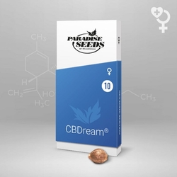 Paradise Seeds CBDream