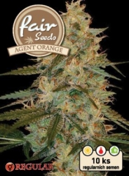 Fair Seeds Agent Orange Regular