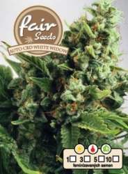 Fair Seeds Auto CBD White Widow 