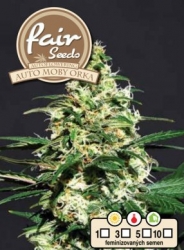 Fair Seeds Auto Moby Orka 