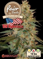 Fair Seeds Chocokush Regular 