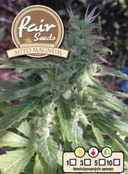 Fair Seeds Auto Magnum Plus 