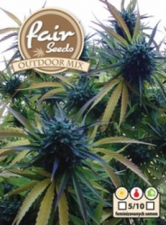 Fair Seeds  Outdoor mix 