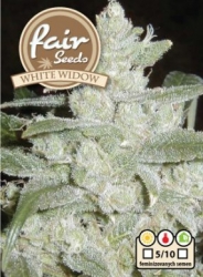 Fair Seeds  White Widow 