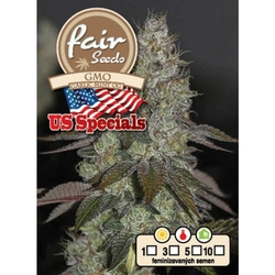 Fair Seeds GMO Garlic Mint OG