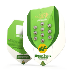 Haze Berry Automatic