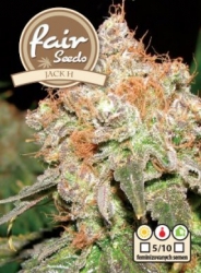 Fair Seeds  Jack H