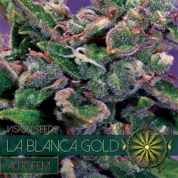 La Blanca Gold Auto 