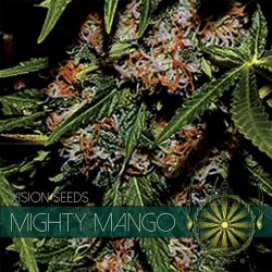 Mighty Mango 