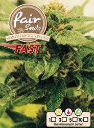 Fair Seeds Northern Light Fast 