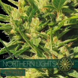 Northern Lights Auto 