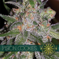 Vision Cookies