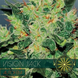 Vision Jack Auto 